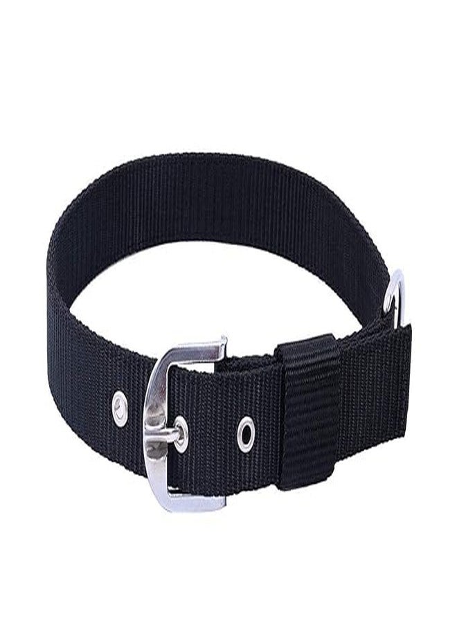 RoverPets Combo of 22MM Nylon Collar Belt with Leash and Long Stainless Steel Leash Chain Set Ideal for Dogs and Puppies Outdoor Walking & Training (Black and Silver) - Image 5
